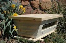 Top bar hive for sale